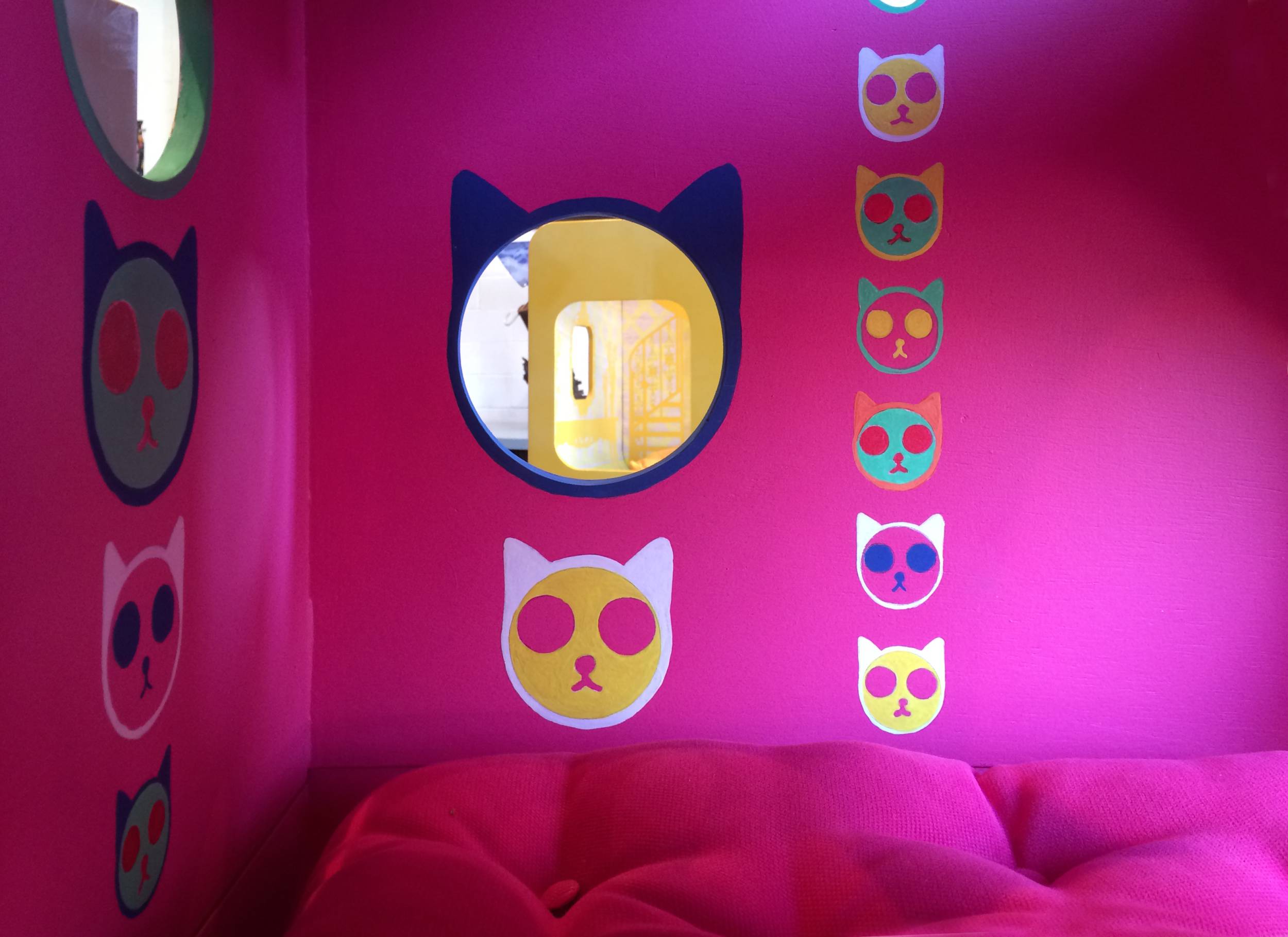 CAT MIRROR BOX